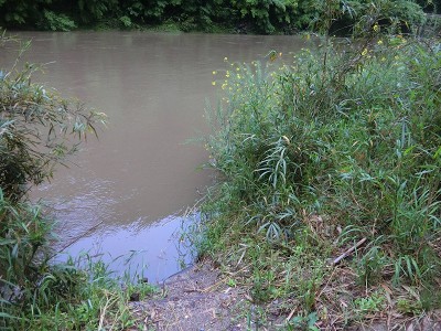 河原は増水によりほぼ水没