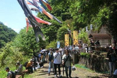 鯉のぼり