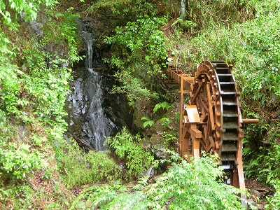 水車は元気