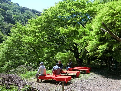 大モミジ広場にて