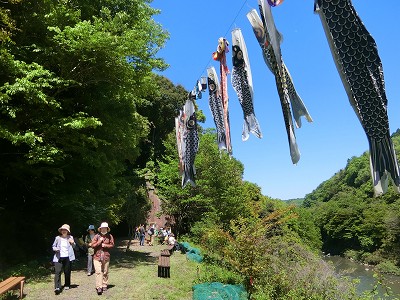 マルシェの鯉のぼり