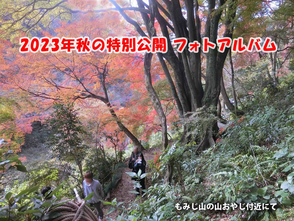 フォトアルバムタイトル