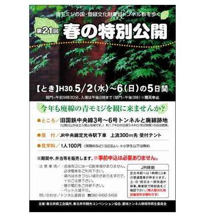 2018年春の公開チラシオモテ