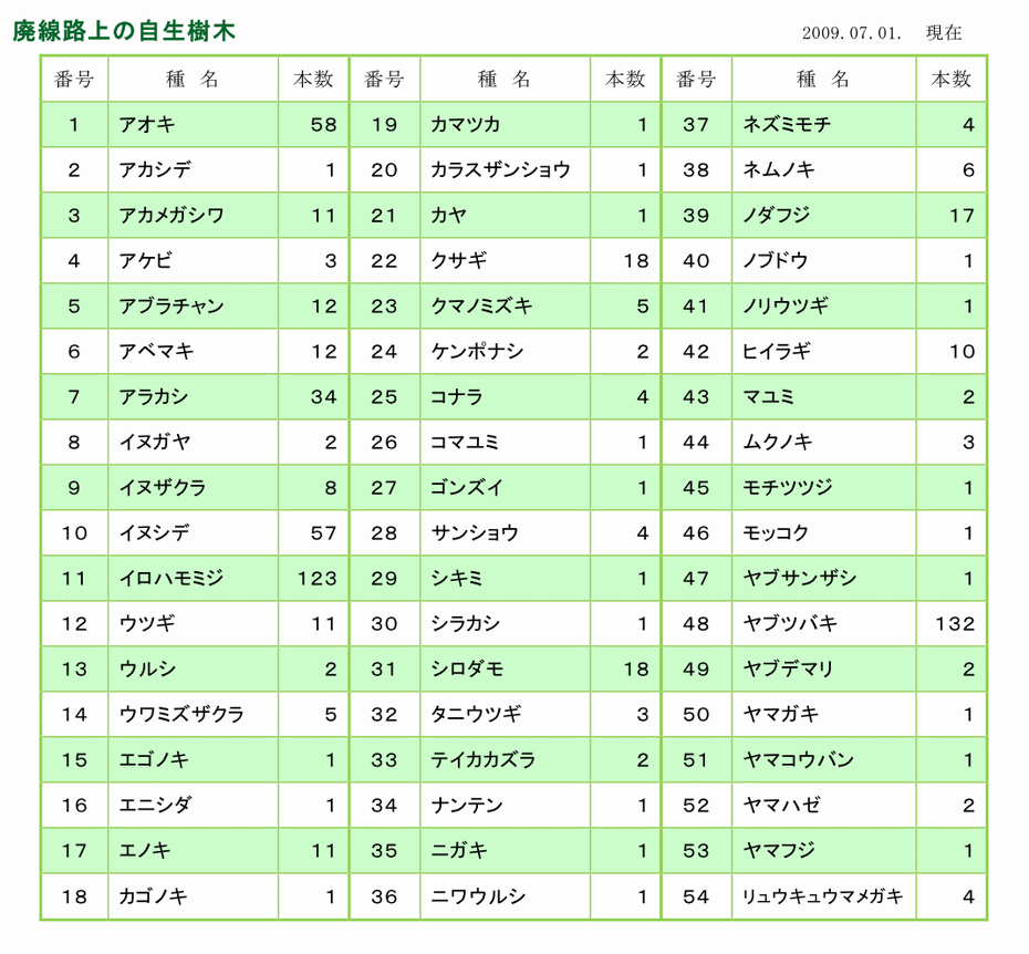 廃線上の自生樹木 