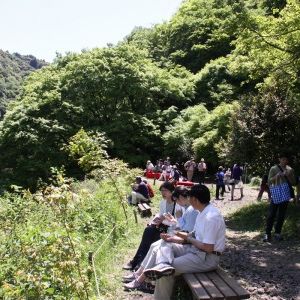 オオモミジとベンチでくつろぐお客さん