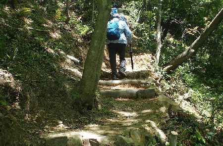 モミジ山の登り